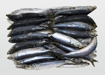 Frozen sardine import tax reduction extended