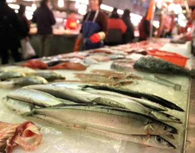 Russia suspends imports of Taiwanese saury fish