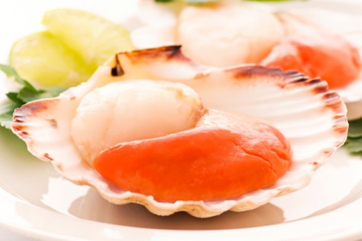 Scallop prices respond as Japanese circulation bounces back