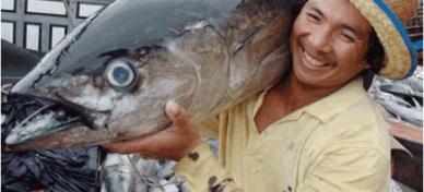 Tuna exports to the US increase in 2015 
