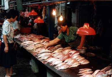 Rabobank China seafood market could grow to $20 billion