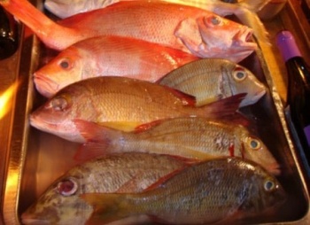 Seafood exports up 7.22% to reach at $63.364m in 1st quarter