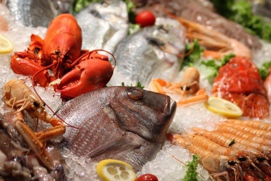 Vietnamese imports of raw fish reached US$133 million in Q.I2013