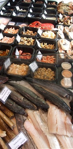 NFI forming group to study CO seafood