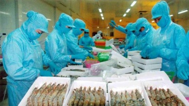 Will Vietnam seafood exports touch US$6.5 billion in 2012