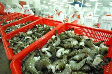 Seafood export in 2012 reached over US$ 6.1 billion