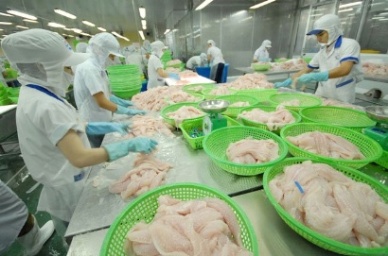 Vietnam seafood exports showed a rebound in May 2013 