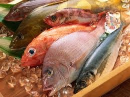 FDA issues draft guidance on ciguatera fish poisoning risk