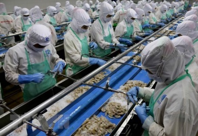 Vietnam promotes seafood exports to Europe