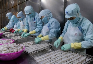 Seafood export value estimated at 844 million USD early 2017