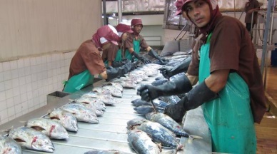 Tuna exports of Thailand reduced in 2014