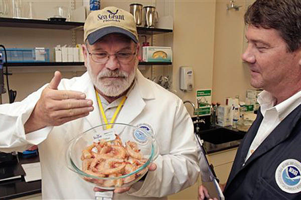 Gulf Coast Coalition says consumers have overcome fear of Gulf Seafood 
