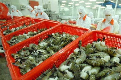 Vietnam asks WTO to rule on shrimp dispute with US