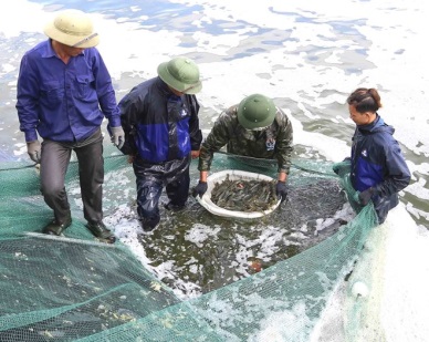 Aquatic catch, aquaculture output enjoy growth in first quarter