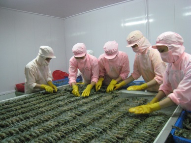 Shrimp exports to the UK rose sharply