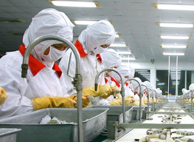 Vietnam shrimp exports 2015 Challenges and Opportunities 