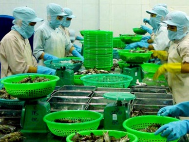 Opportunity for Vietnam seafood exports to Singapore