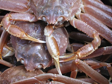 US snow crab imports hit highest level in more than a decade