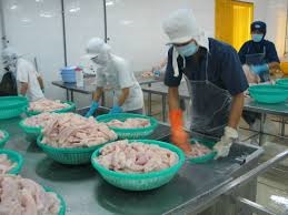 Soc Trang Aquaculture area surges