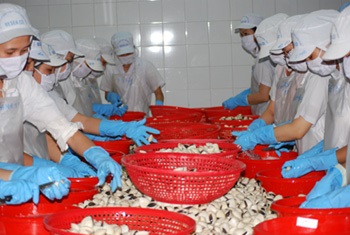 Vietnam- second biggest source for processed clams in Italy
