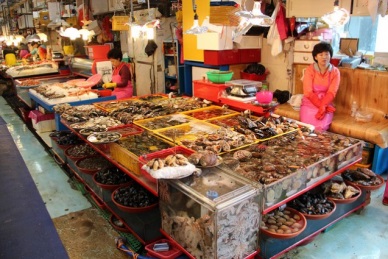 Radiation fears prompt South Koreans to turn to US lobster, Norwegian salmon imports