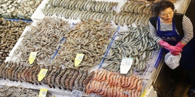 South Koreas Registers Decline in 2013 Fishery Output