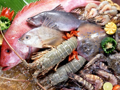 Improving the value of agricultural, forestry and fishery products