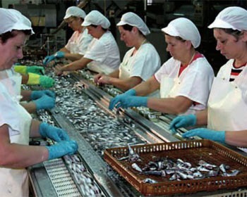 Spain Sharp drop in fish exports to the Russian market