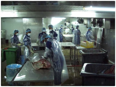 Sri Lanka Fish Exports to Double by 2016