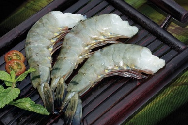 Position of Vietnam shrimp in the world market in 2012