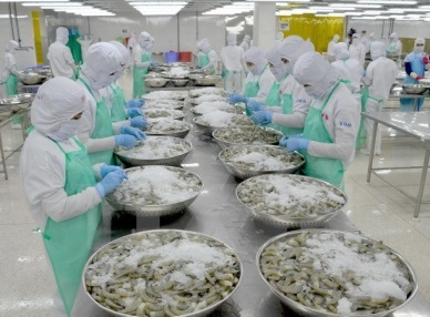 Switzerland imports over 50 percent shrimp from Vietnam