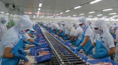Vinh Hoan Corp Seafood export turnover hit US$80 million 