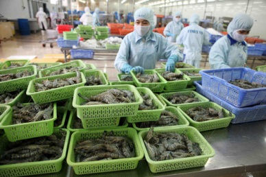 China Demand for shrimp imports remained stable