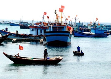 Vietnam Modernizing Its Tuna Fleet 