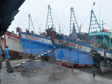 Quang Ninh Tonkin Gulf fishery logistics centre to be launched