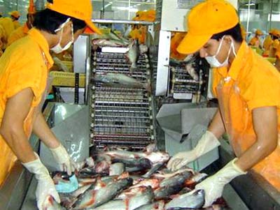 Viet Nam and Thailand Cooperate on Fisheries