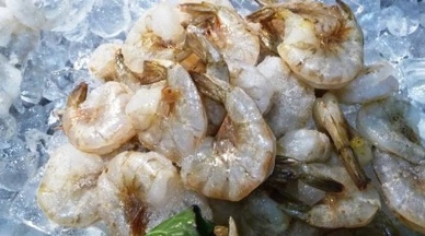 Thai shrimp exporters warned of impending US ban