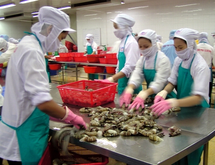 Shrimps A key export for Vietnam