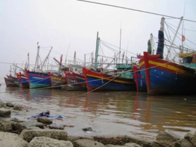 Thanh Hoa to reach US$62 million of 2014 seafood exports