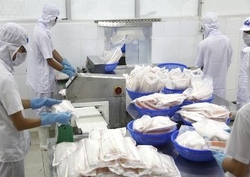 Hung Vuong Corp Net profit after tax in H1 of 2014 reaching VND 256.2 billion