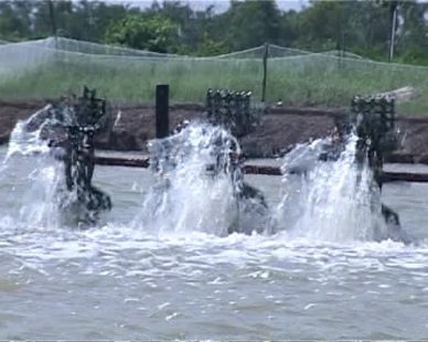 More investments for irrigation to develop fisheries 