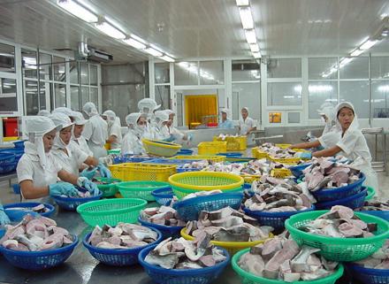 Fisheries production saw a steady growth