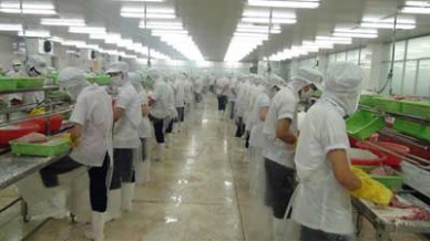 Seaprodex Gross margin rose by 177% in QI2017