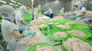 Pangasius exports to Mexico increased by 18%