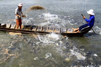 Tien Giang Seafood production in August up 22%