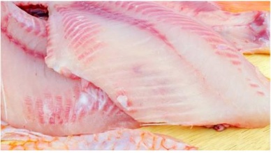 US tilapia imports see a 11% decline