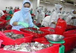 Ca Mau total production reached 36,000 MT in October