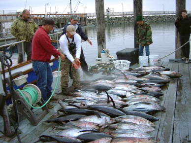 Globefish’s report on tuna – the trend of price and catching