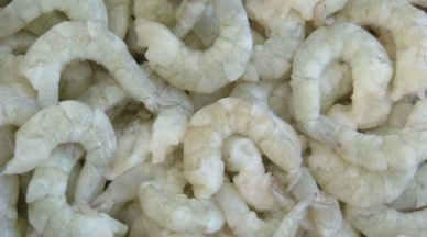 Indian shrimp aquaculture to increase fivefold