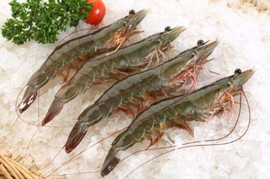 Indonesia welcomes US findings in shrimp case